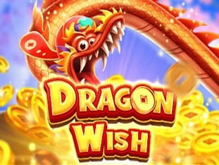 Dragon Wish icon