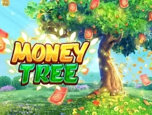 Money Tree icon